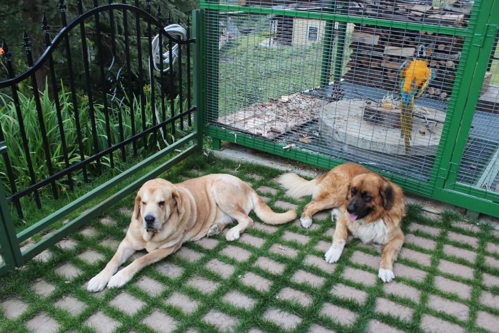 Apartmány a Chalupa Tara Albrechtice v Jizerskych horach Esterno foto